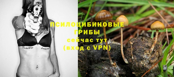 MDMA Краснослободск